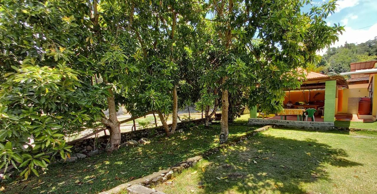 Conrado'S Guesthouse B&B Las Avispas Dış mekan fotoğraf