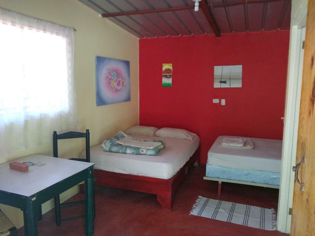 Conrado'S Guesthouse B&B Las Avispas Dış mekan fotoğraf