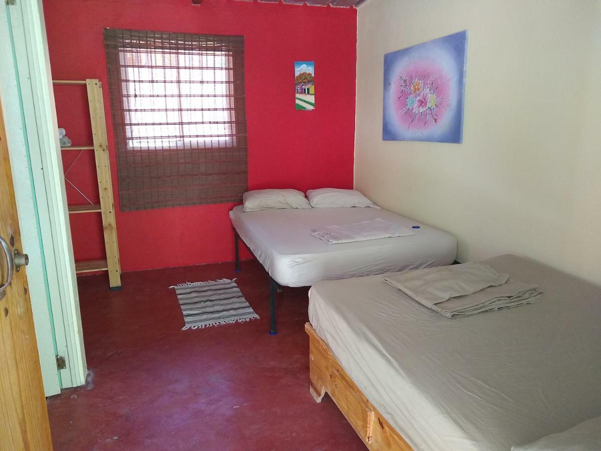 Conrado'S Guesthouse B&B Las Avispas Dış mekan fotoğraf